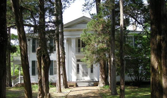 Rowan Oak